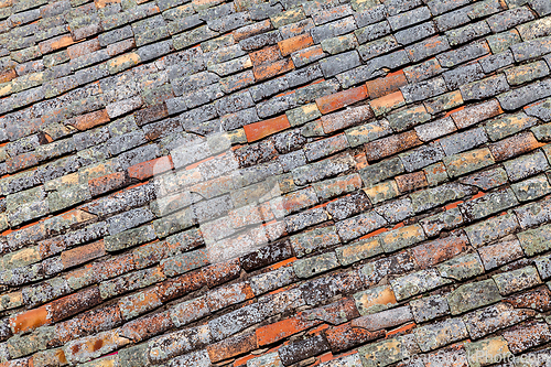 Image of Old red tiling covered with lichen