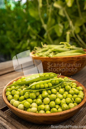 Image of Fresh green peas