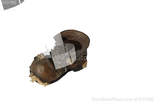Image of mouse shoe