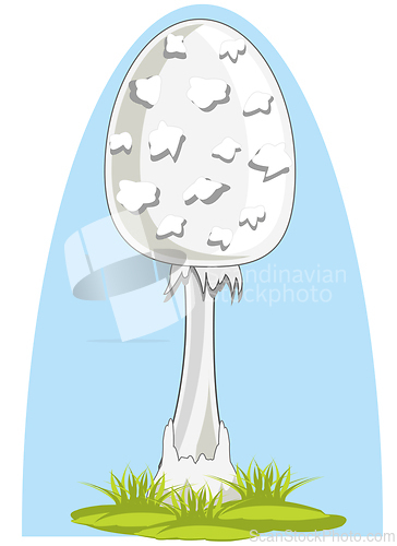 Image of Mushroom toadstool on white background is insulated