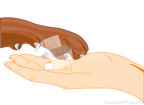Image of Paw of the dog in palm of the person