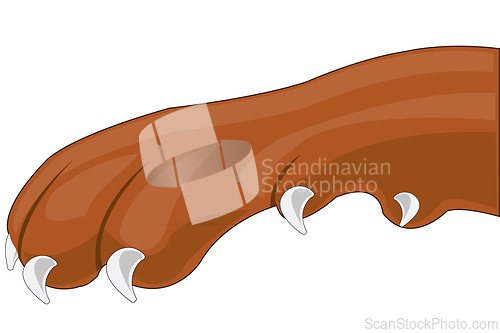 Image of Paw pets dogs on white background is insulated