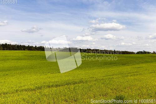 Image of European agricultural technologies