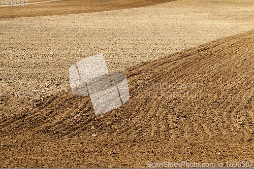 Image of plowed fertile soil