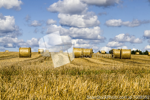 Image of agricultural field after harvesting
