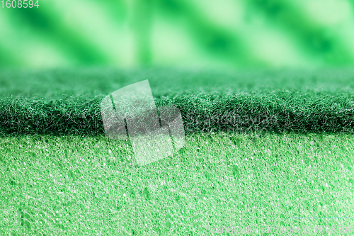 Image of green sponges