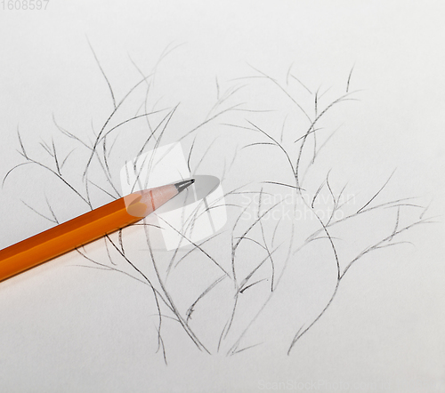 Image of Bush drawn in pencil