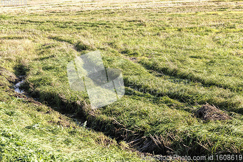 Image of car tire tracks on a sandy road