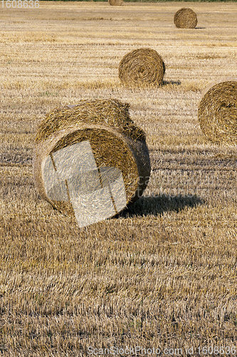 Image of stubble and straw stacks