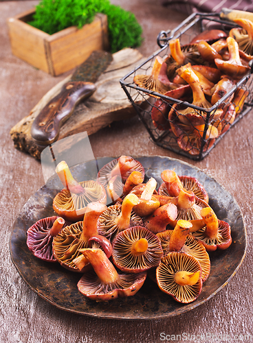 Image of edible mushroom in metal bowl