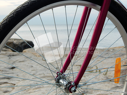 Image of Bicycle wheel front.