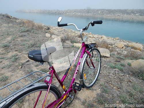 Image of Bicycles at a picnic.