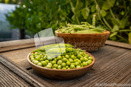 Image of Freshly harvested green peas