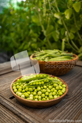 Image of Bowl full of fresh green peas