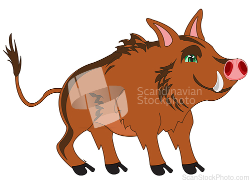 Image of Wildlife wild boar on white background is insulated