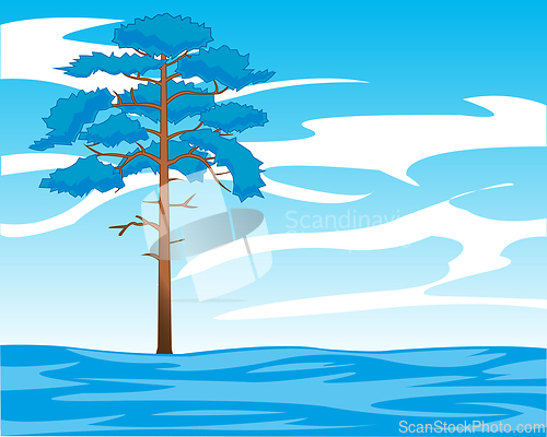 Image of Solitary tree pine on field in winter