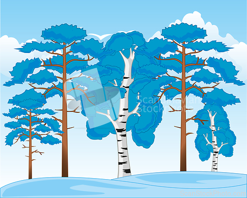 Image of Beautiful landscape winter wood and snowdrift daytime