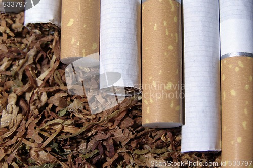 Image of tobacco and cigarete