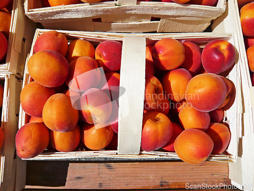 Image of Peach