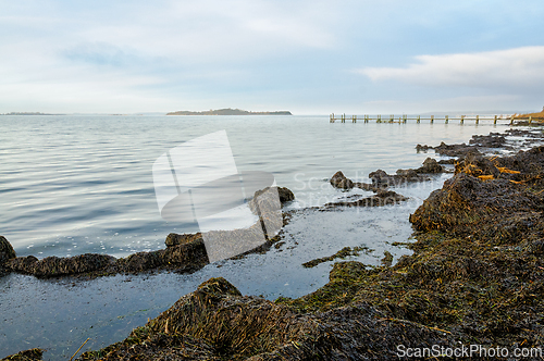 Image of Coastal shoreline with seaweed at low tide near a wooden jetty u