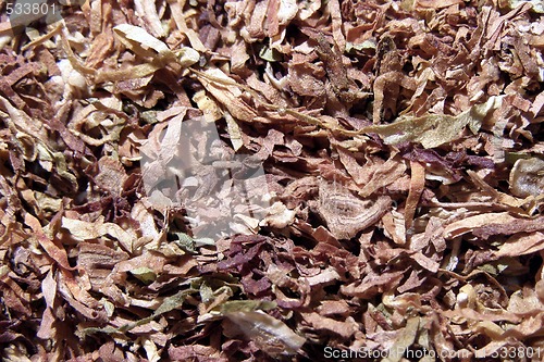 Image of tobacco