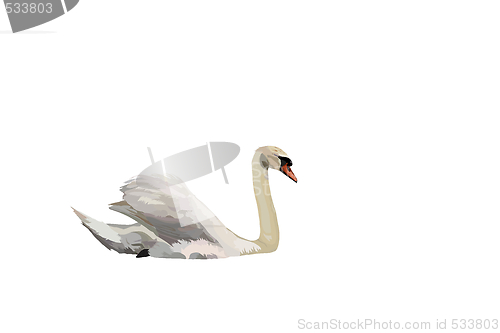 Image of swan
