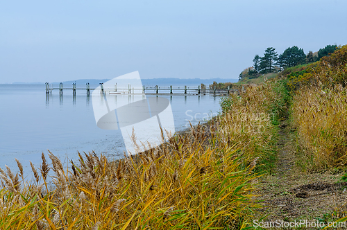 Image of Calm ocean view with a wooden pier surrounded by golden grass al