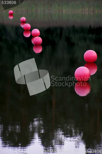 Image of pink buoys