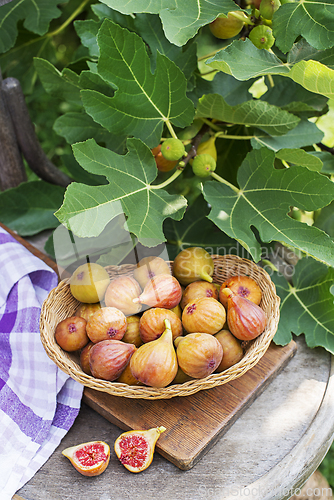 Image of Figs fruit
