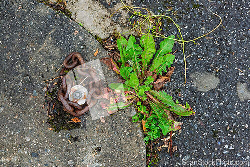 Image of Chains and green weeds contrast on cracked pavement in a quiet u