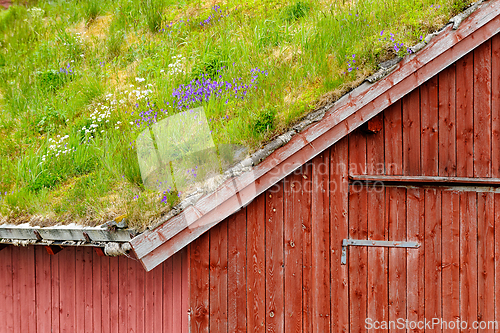 Image of Green roof design creates a natural aesthetic in rural Scandinav