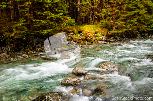 Image of Mountain river flowing through a lush forest landscape during ea
