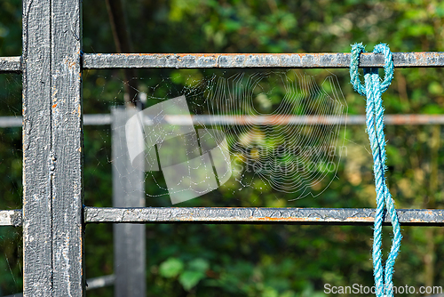 Image of Intricate spider web glistening in sunlight near a rustic fence