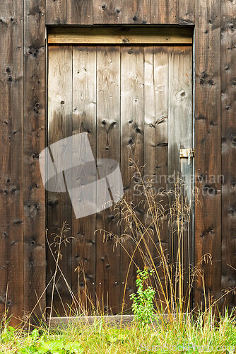 Image of Weathered wooden door stands against rustic wall with wild grass
