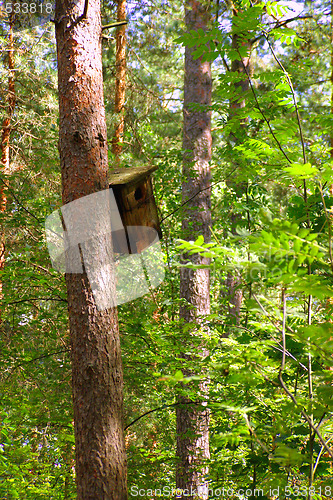 Image of birdhouse