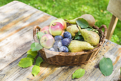 Image of Fruit harvest