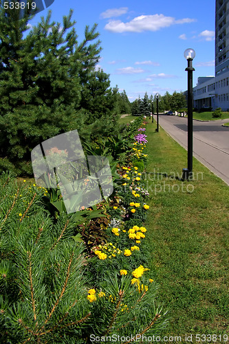 Image of line road