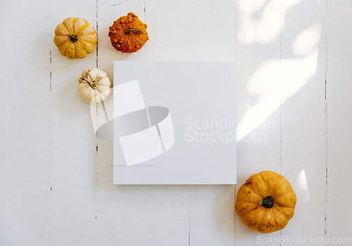 Image of Empty picture frame with autumn pumpkin decor on white wooden fl