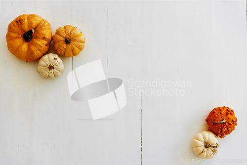 Image of Autumn background with thanksgiving pumpkins decor frame on whit