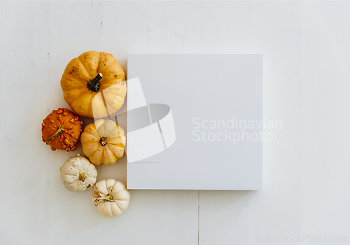 Image of Empty picture frame with autumn pumpkin decor on white wooden fl