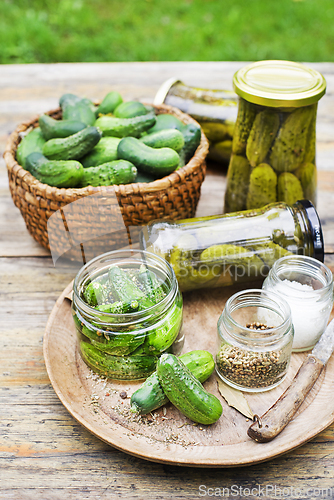 Image of Pickled cucumbers pickles