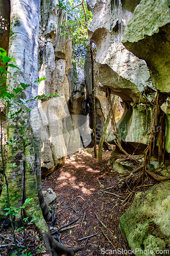 Image of Petit Tsingy de Bemaraha, amazing landscape, Madagascar wilderness landscape