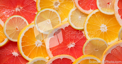 Image of closeup of ripe juicy orange, grapefruit and lemon fruit slices