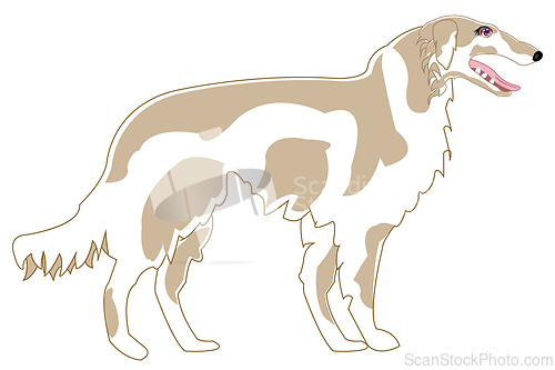 Image of Pets animal dog sorts greyhound type from the side