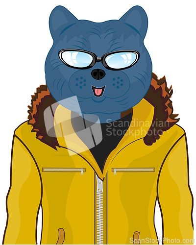Image of Man cat in fashionable cloth and spectacles