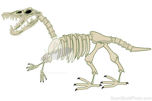 Image of Skeleton of the dinosaur on white background is insulated