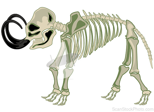 Image of Skeleton animal mammoth on white background is insulated