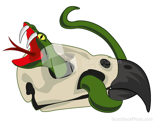 Image of Vector illustration to reptiles snake in skull of the bird