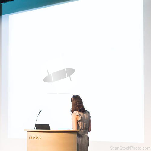 Image of Business woman making business presentation.