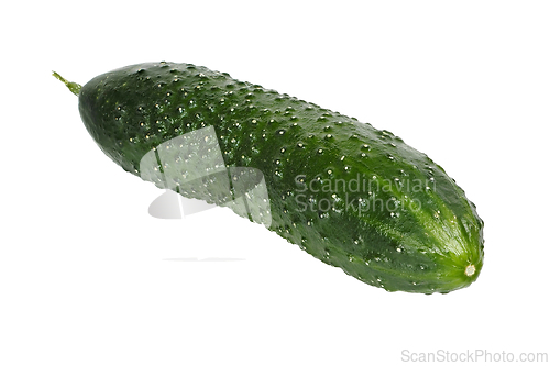 Image of Cucumber on White